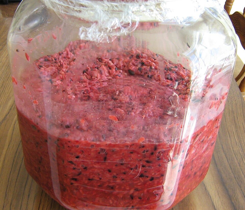 red yeast rice