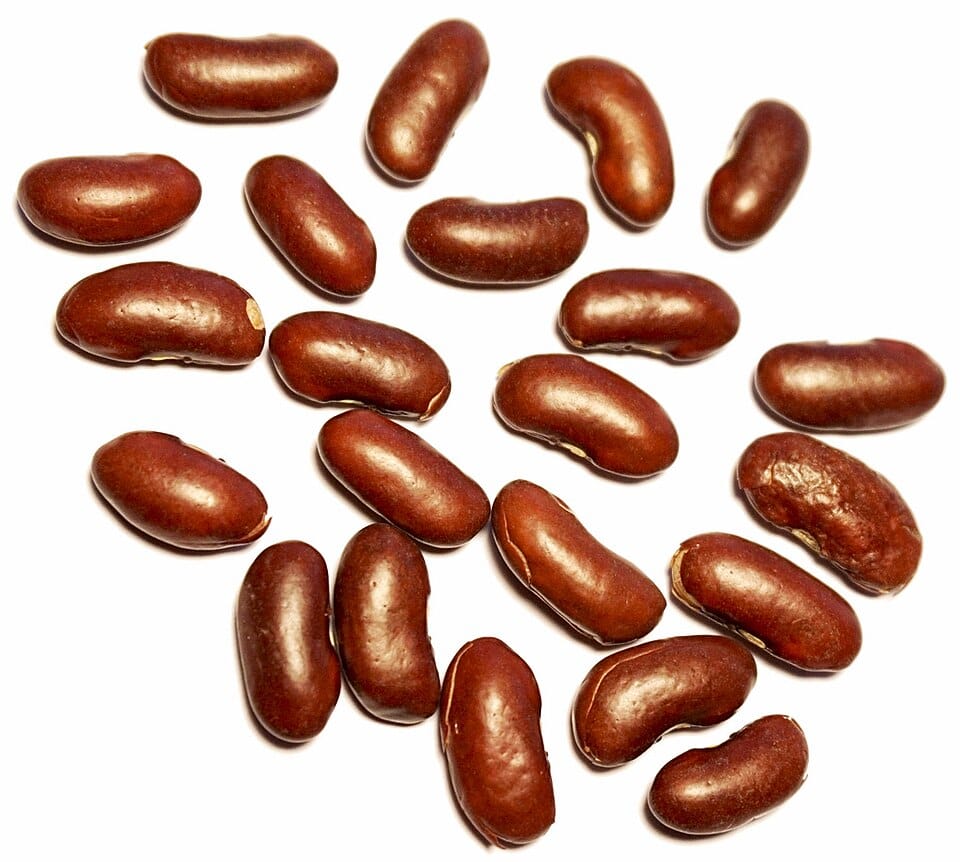 kidney bean