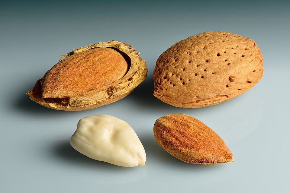 almond