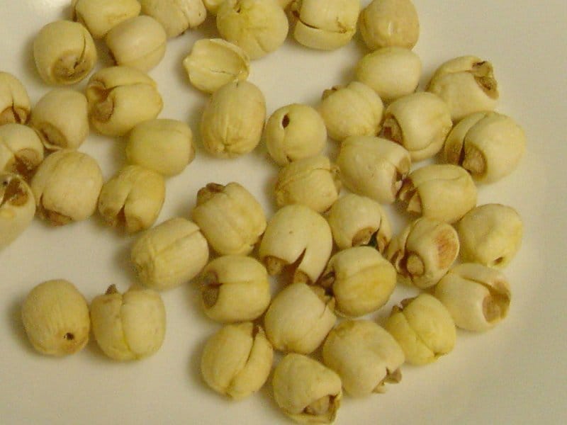 lotus seed