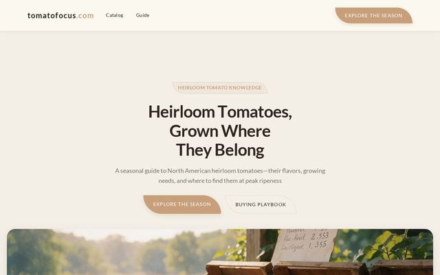 tomatofocus.com-dm design