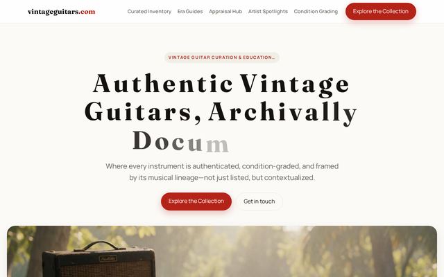 vintageguitars.com-dm design